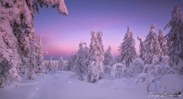 Auringonlasku tunturilla
