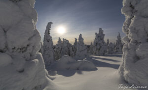 Suomen talvimaisema